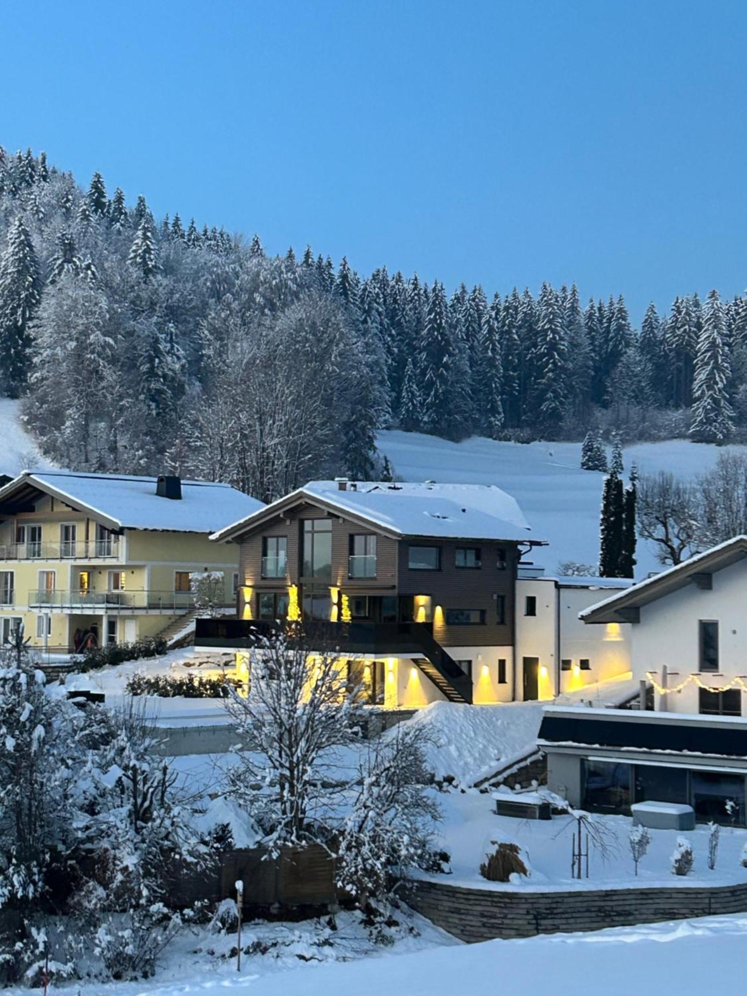 Place2be - With Infinity Pool Faistenau