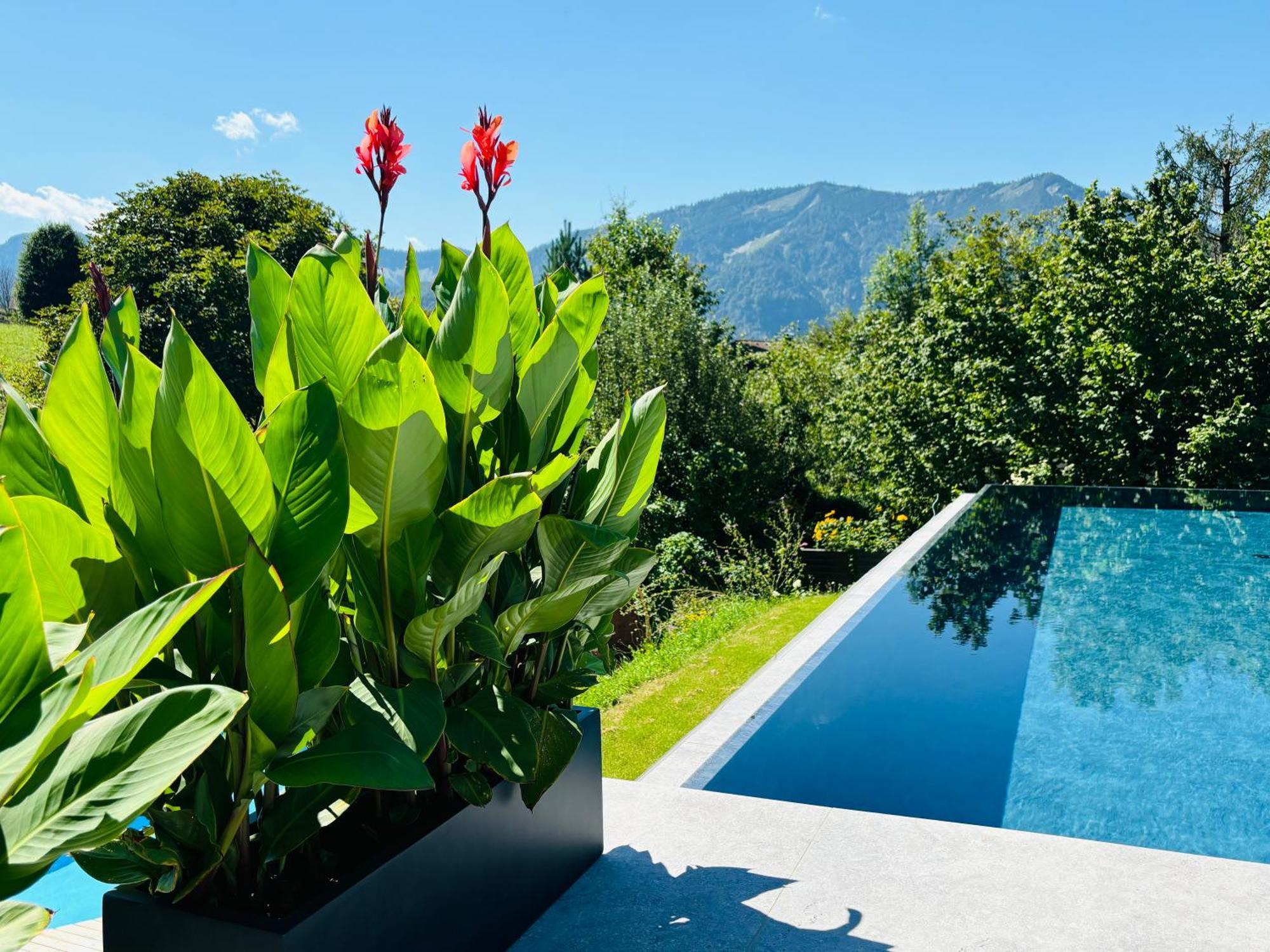 Place2be - With Infinity Pool Apartment Faistenau